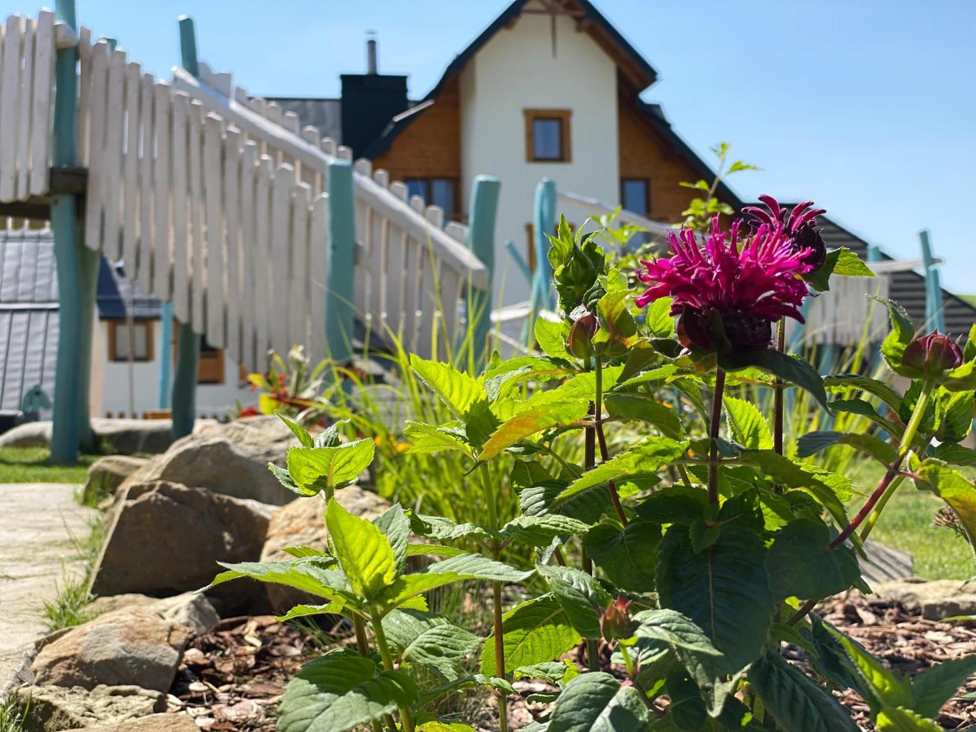 Tylickie Wzgorze Spa & Wellness Pensjonat Dla Rodzin Z Dziecmi Tylicz Exterior photo